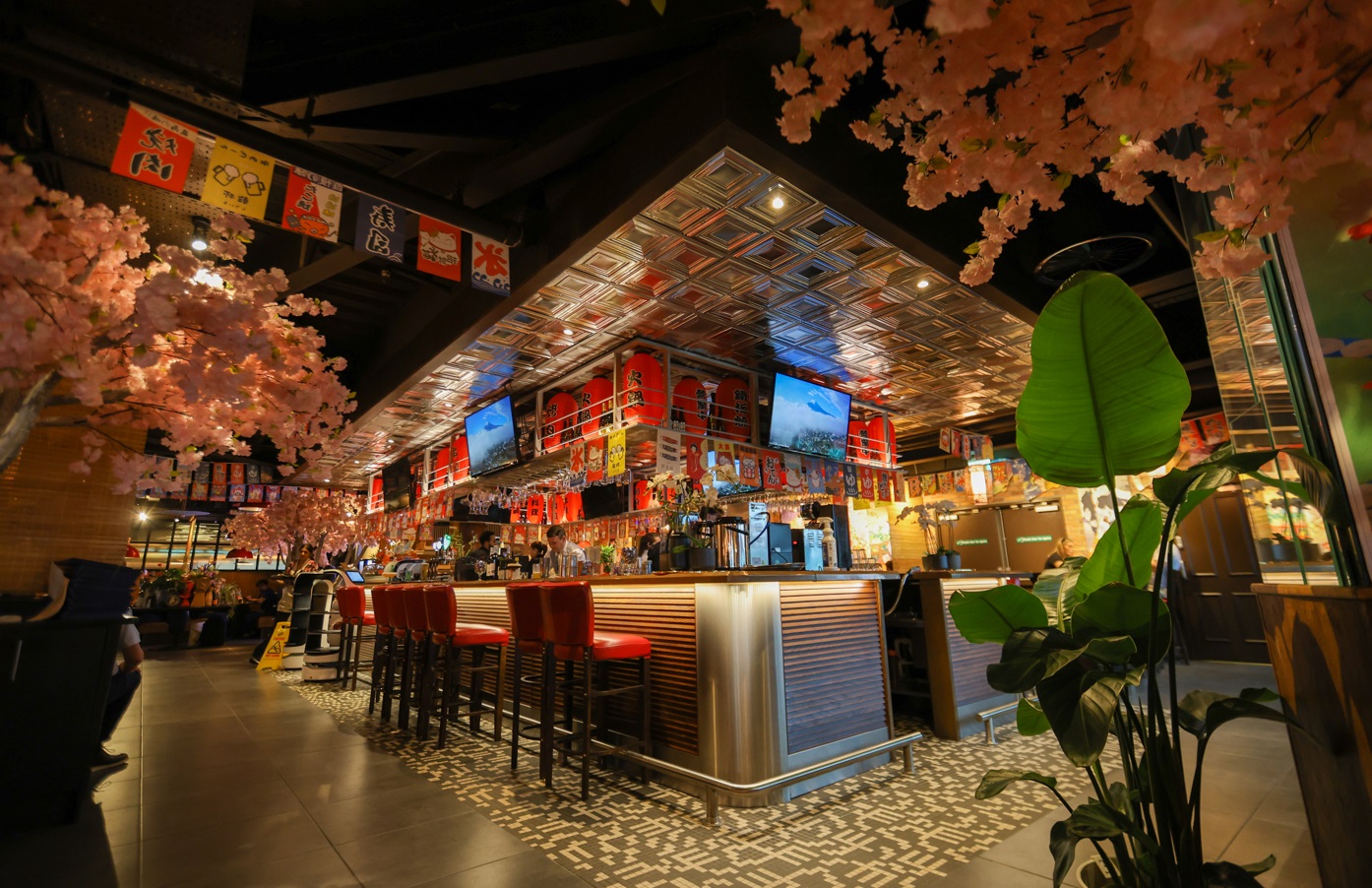 FUJIYAMA DUNDRUM TOWN CENTRE